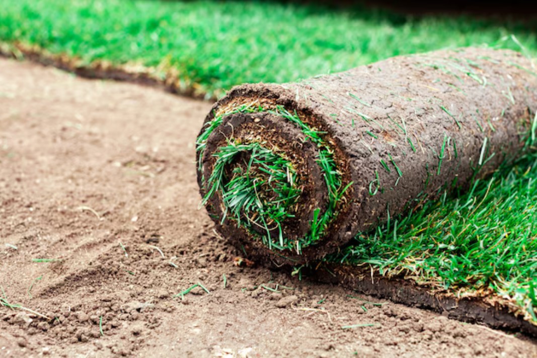 Sod farm serving Delmarva